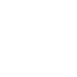 Briton Logo